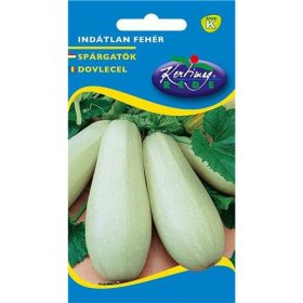   Rédei vetőmag Spárgatök Indátlan fehér 4 g "K"