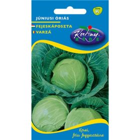   Rédei vetőmag Fejeskáposzta Júniusi óriás "K"