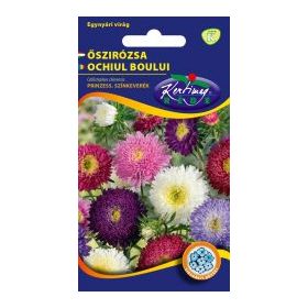Rédei vetőmag Őszirózsa Prinzess "K"