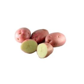 Rédei Vetőburgonya Desiree kb 50db