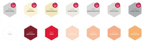 Platinum körömvirág k20 5l 